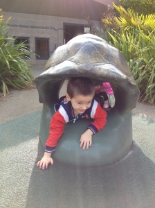 Nicholas likes crawling through a sea turtle's shell.